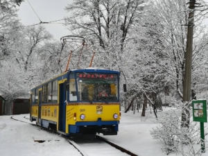 Экскурсия на трамвае в Пущу-Водицу